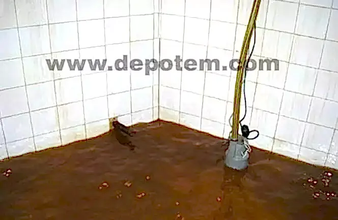 kirli-fayans-su-deposu Fayans su deposu temizliği